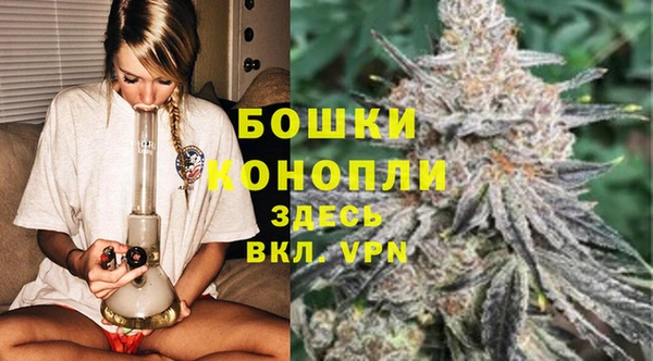 трава Кодинск