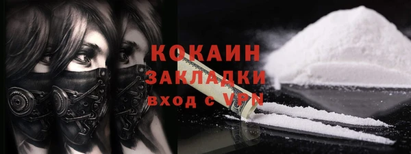 ПСИЛОЦИБИНОВЫЕ ГРИБЫ Козловка
