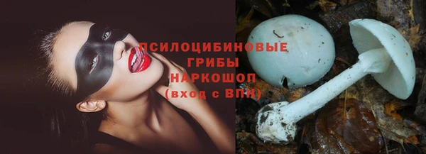 трава Кодинск