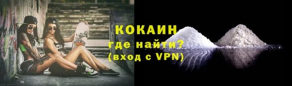 ПСИЛОЦИБИНОВЫЕ ГРИБЫ Козловка