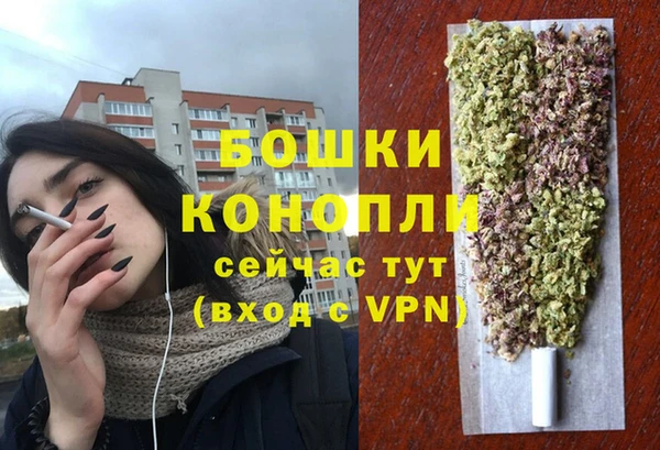 трава Кодинск