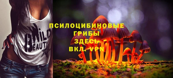 трава Кодинск