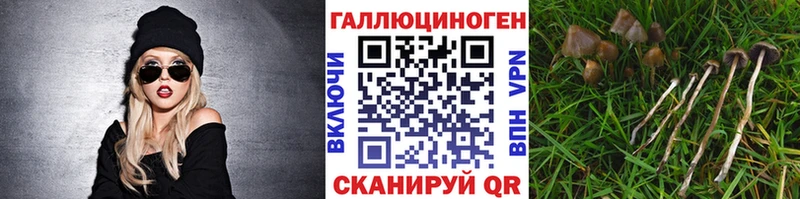 Галлюциногенные грибы Magic Shrooms  Купить закладки  Чекалин 
