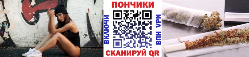 Купить закладки  Чекалин  МАРИХУАНА сатива 